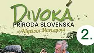 Divoká príroda Slovenska s Nigelom Marvenom- film o filme