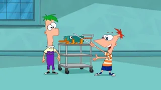 Phineas a Ferb (8/26)