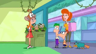 Phineas a Ferb (8/26)