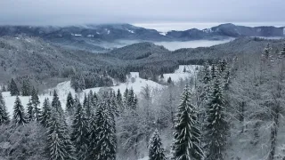 Divoká Poľana