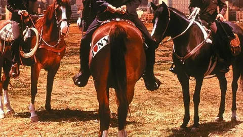 Dobrodruzi z velkoměsta