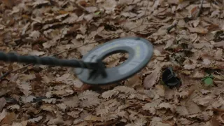 Dřevo pro Stradivariho