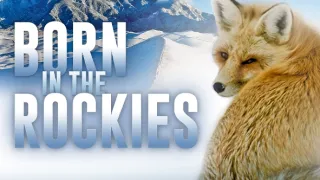 Narozeni ve Skalnatých horách (2/2)