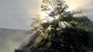 Narozeni ve Skalnatých horách (2/2)