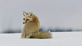 Narozeni ve Skalnatých horách (2/2)