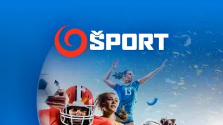 FIS Svetový pohár freestyle