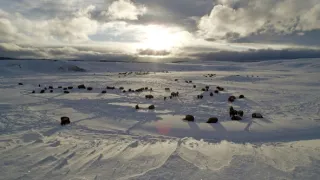 Narozeni ve Skalnatých horách (2/2)