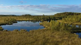 Rosomák - neústupná matka