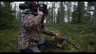 Rosomák - neústupná matka