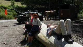 1000 let brněnského draka