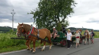 1000 let brněnského draka