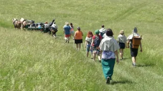 1000 let brněnského draka