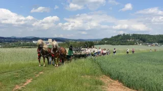 1000 let brněnského draka