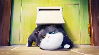 10 životů kocourka Mňouka