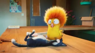 10 životů kocourka Mňouka