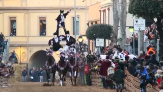 Království divočiny: Koně z náhorní planiny Giara, Sardinie