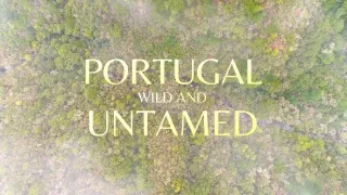 Divoké Portugalsko (2/7)
