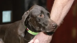 Na plovárně s Davidem Hynkem