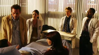 Dr. House (12)