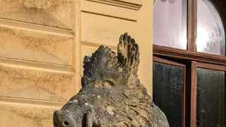 Královny, které změnily svět