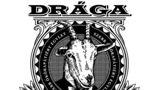 Drága örökösök IV (21)