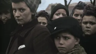 Apokalypsa: Hitlerův pád (2/2)