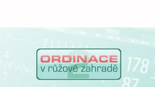 Ordinace v růžové zahradě 2 (558)