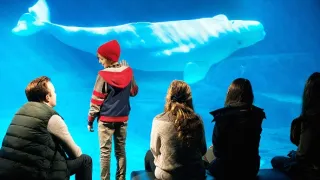 Deviaty život Louisa Draxa