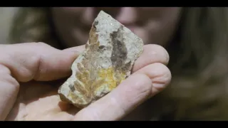 Síla rostlin - tajemný dobyvatel