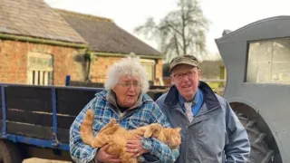 Veterinář z Yorkshiru XII (2)