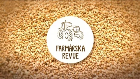 Farmárska revue