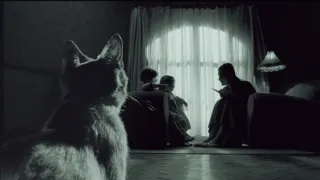 Amélia z Montmartru