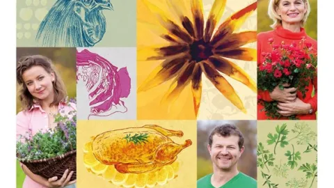 Co naše babičky uměly a na co my jsme zapomněli