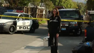 Kriminálka Las Vegas V (10)