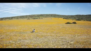 Síla rostlin - tajemný dobyvatel