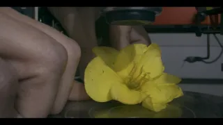 Síla rostlin - tajemný dobyvatel