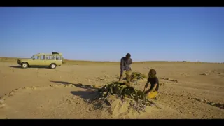 Síla rostlin - tajemný dobyvatel