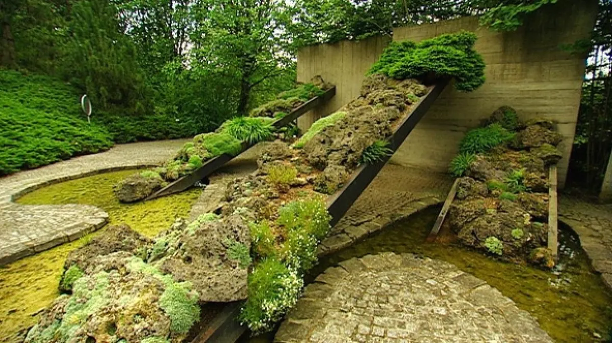 Rajské zahrady, 2009 - fotogaléria