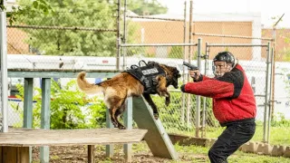 K9: Oceľový tesák