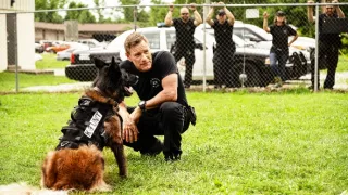 K9: Oceľový tesák