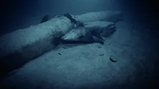 Skutečný hon na Rudý říjen (1/2)