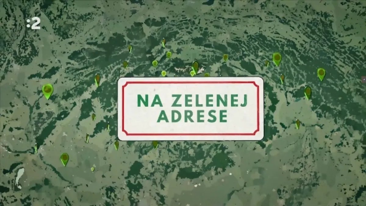 Na zelenej adrese, 2025 - fotogaléria