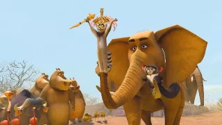 Madagaskar 2: Útek do Afriky