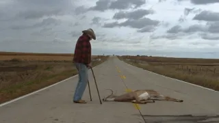 Příběh Alvina Straighta