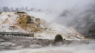Yellowstonský park - tikající bomba