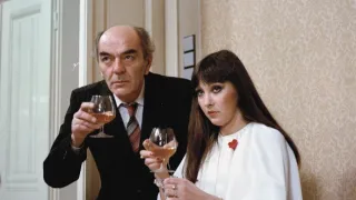 Návštěvníci (11/15)