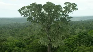 Afrikou letom svetom (1)