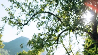 V karavanu po Slovinsku (4/6)