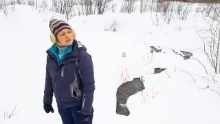 Záhada Hory mŕtvych