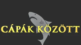 Cápák között IX (4)